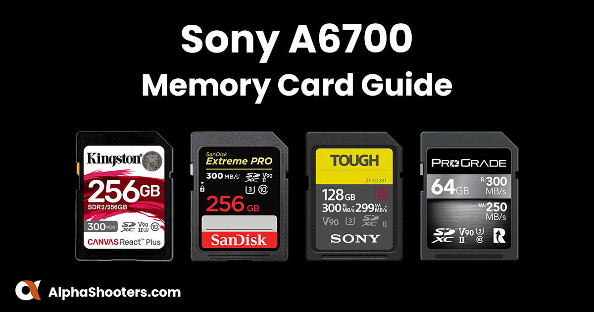 Best Memory Cards For The Sony A Alpha Shooters