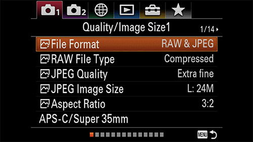 sony a7iii menu raw jpeg