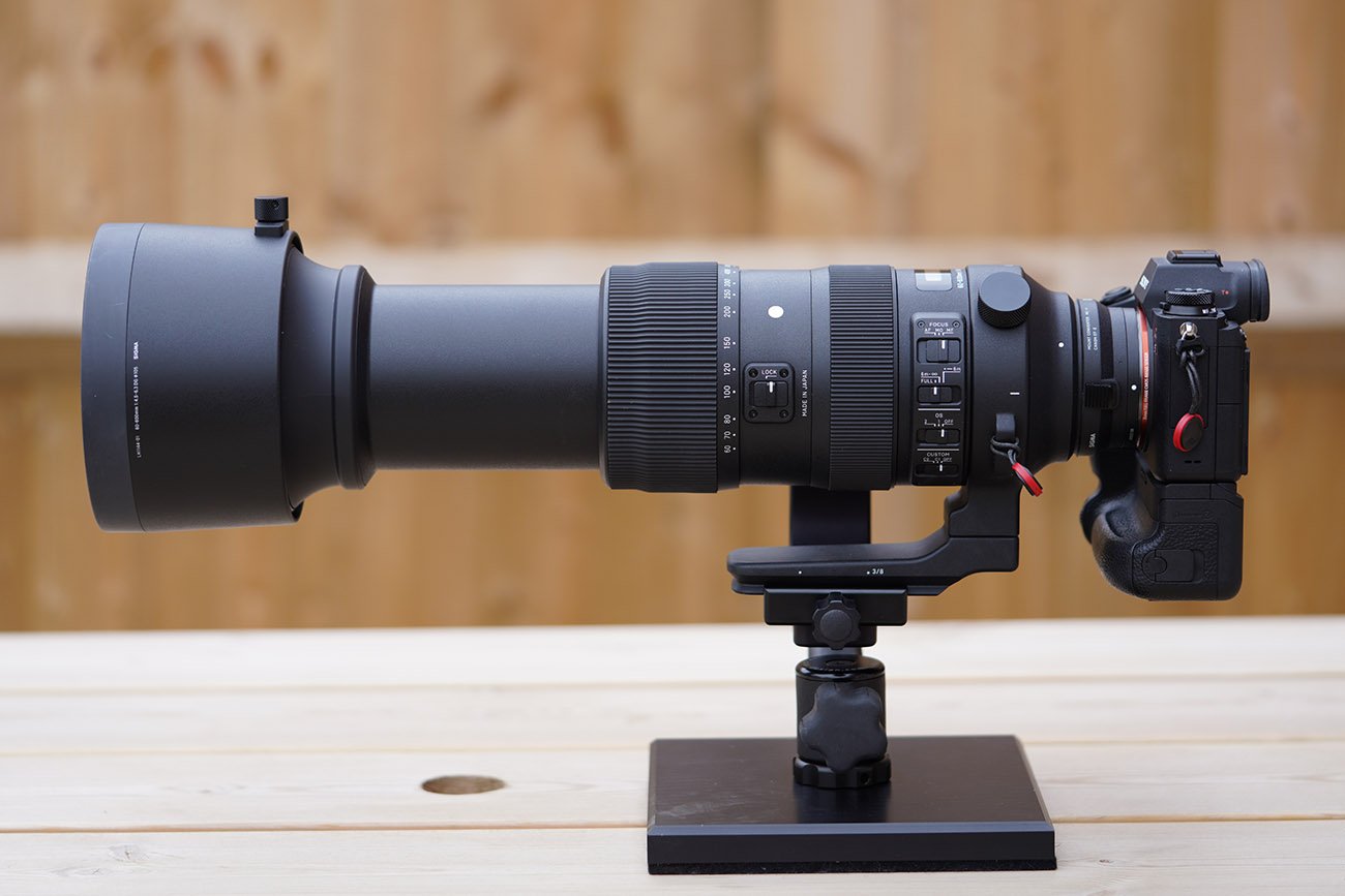 Sigma 60-600 on Sony A9 Review