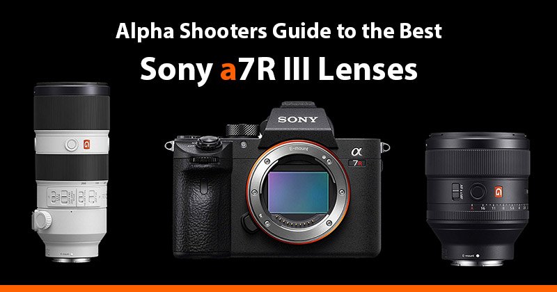 Generosidad jugo sagrado Best Sony A7R III Lenses & Reviews - AlphaShooters.com