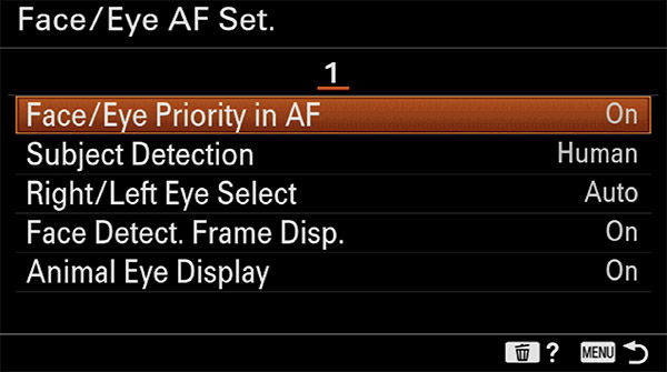 Sony A6400 Animal Eye AF Setup Guide and Demo - Alpha Shooters