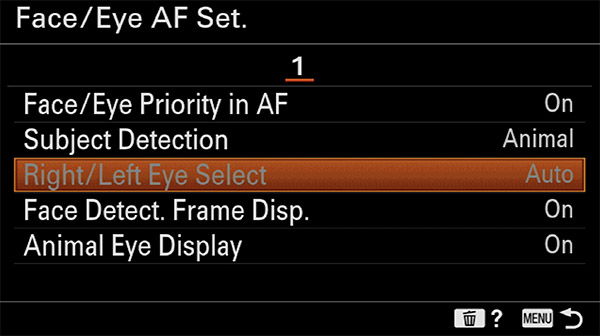 sony a6400 animal eye af setup right and left eye