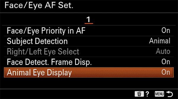 sony a6400 animal eye af setup display