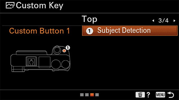 sony a6400 animal eye af custom button c1 subject detection