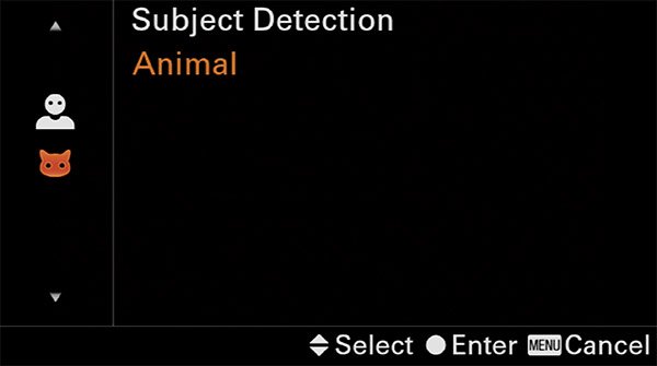 sony a6400 animal eye af custom button animal / human