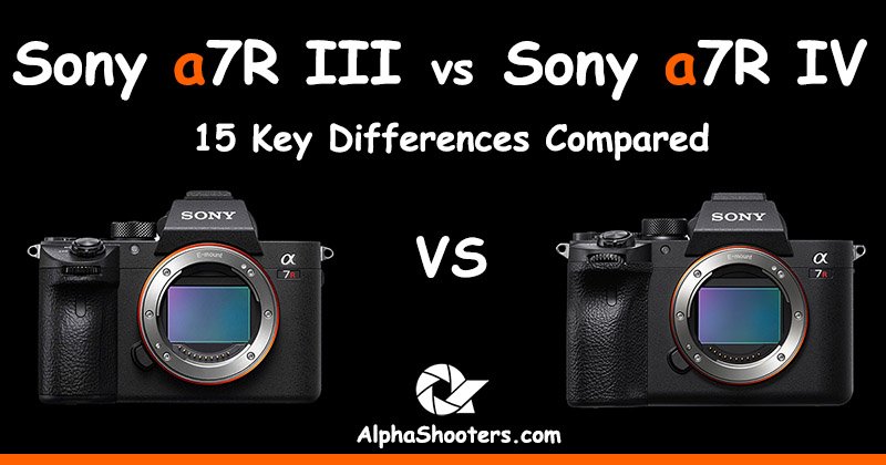 Sony a7III vs a7R IV