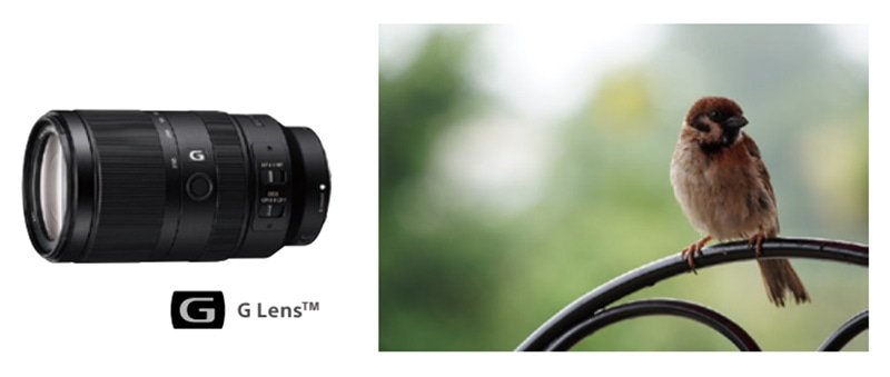 E 70-350mm F4.5-6.3 G OSS (SEL70350G) Lens