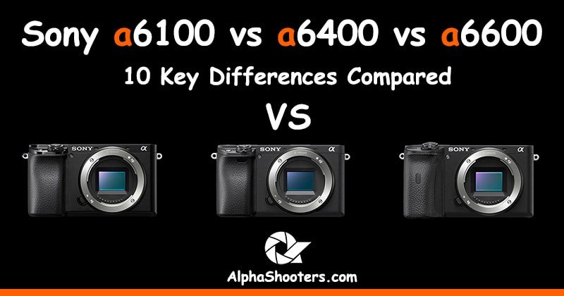Sony a6100 vs a6400 vs a6600