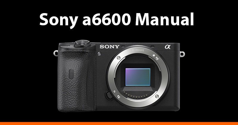 Sony a6600 / ILCE-6600 Companion: A Guide to Mastering Your Camera: Cam,  Arthur: 9798544397700: : Books