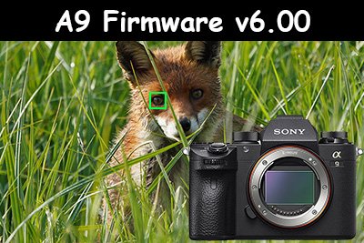 sony a9 firmware v6 update-800px