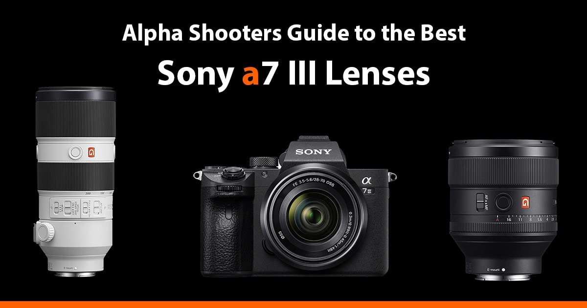 Clip vlinder Beschikbaar Mok Best Sony A7III Lenses in 2022 - AlphaShooters.com
