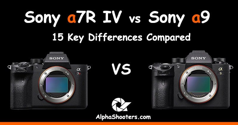 Sony a7R IV vs a9