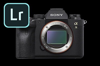 Sony a9II Gets Adobe Lightroom and Camera RAW Support