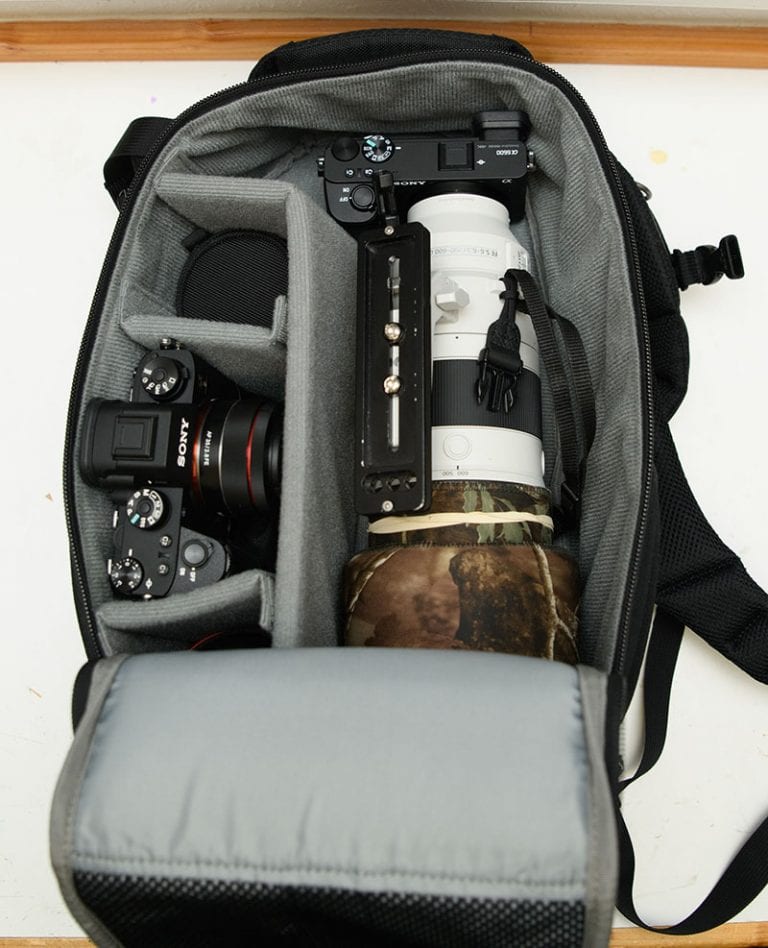 Sony 200-600 Bag Guide - Alpha Shooters