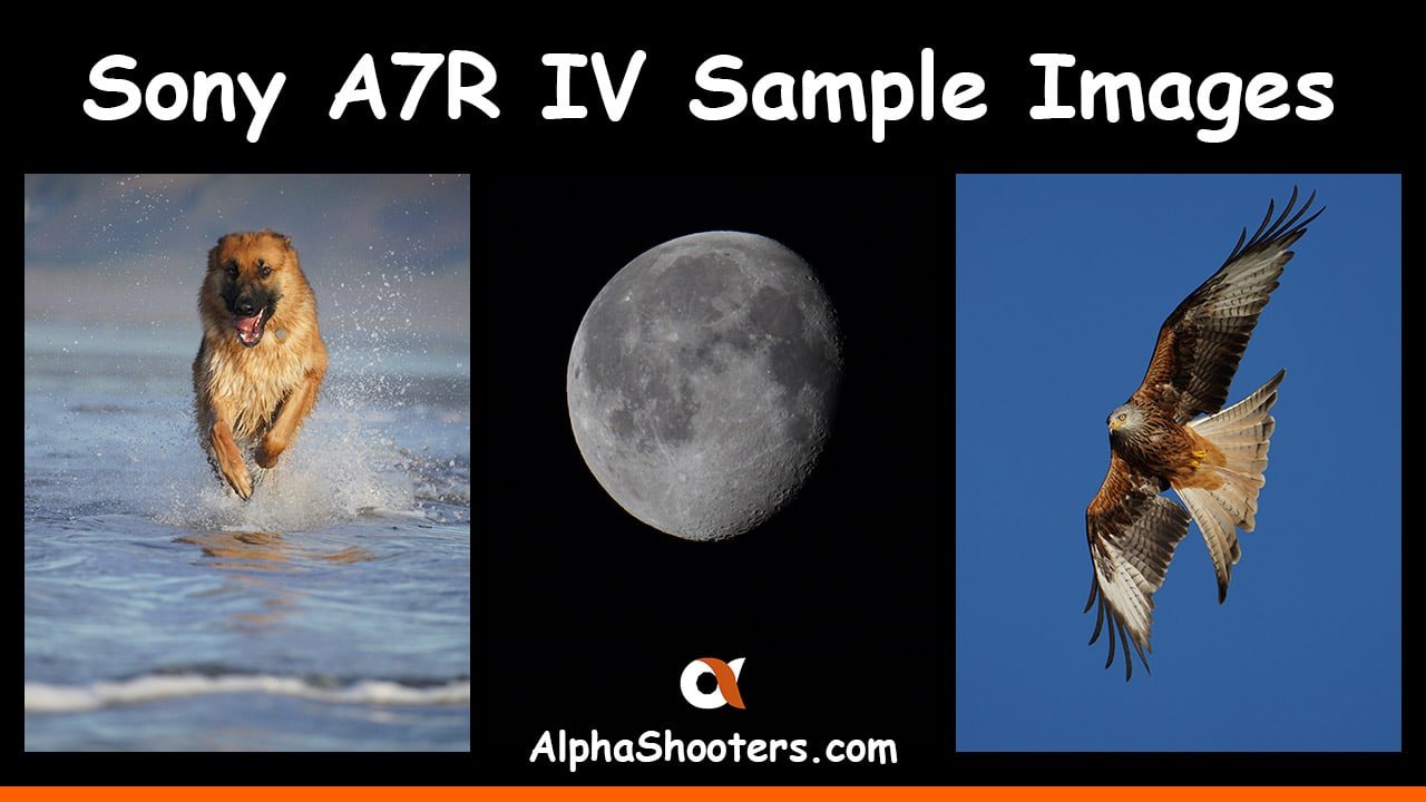 Sony A7R IV Samples Images