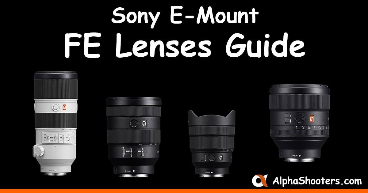 insluiten kiem Interactie Best Sony FE Lenses (Full-Frame) Guide - AlphaShooters.com