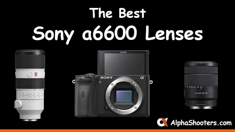 Sony a6600 Lenses