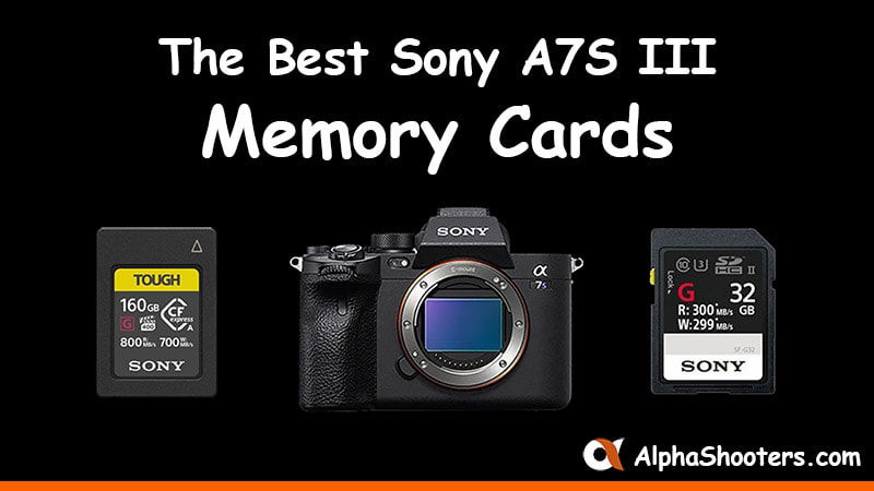 Sony A7S III Memory Cards