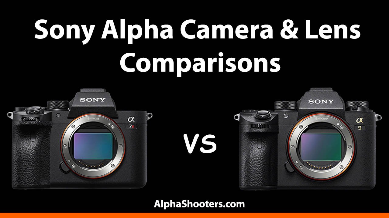Sony Alpha Camera and Lens Comparisons