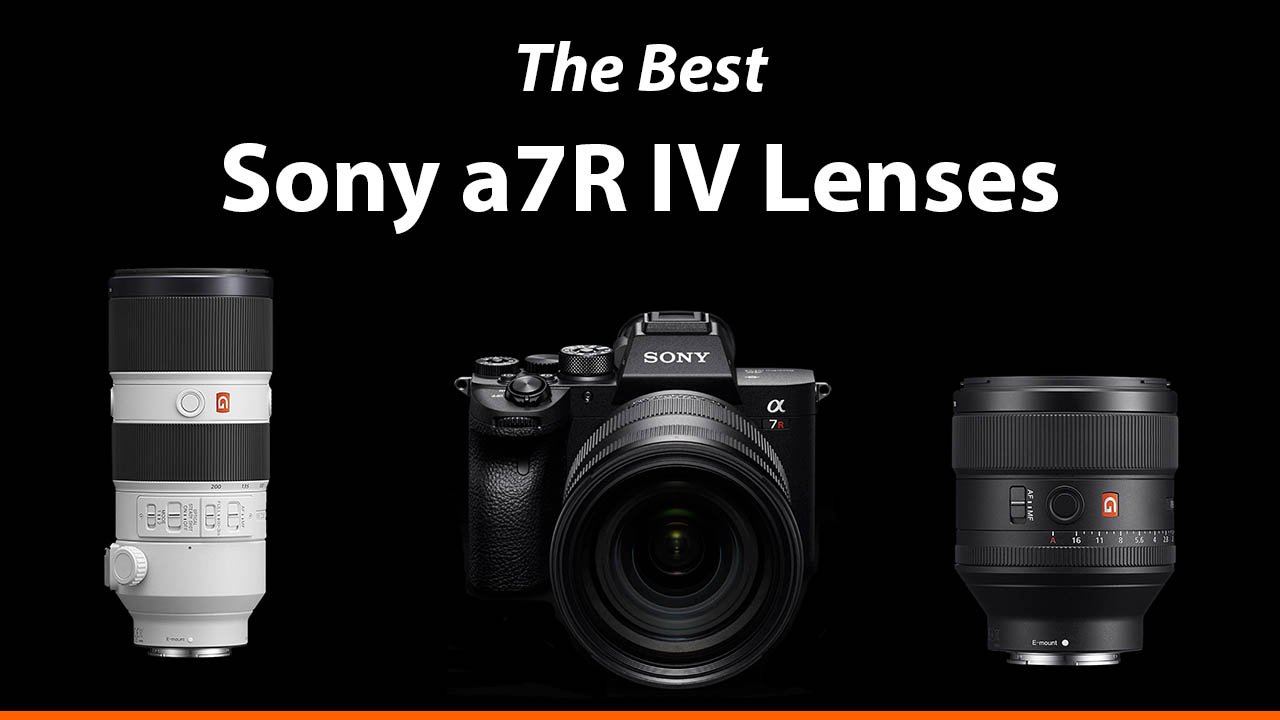 Best Sony a7R IV Lenses Guide