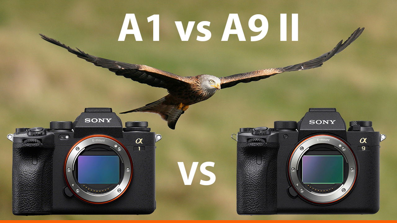 AlphaShooters Page 9 Of 38 News Community For Sony Alpha Shooters