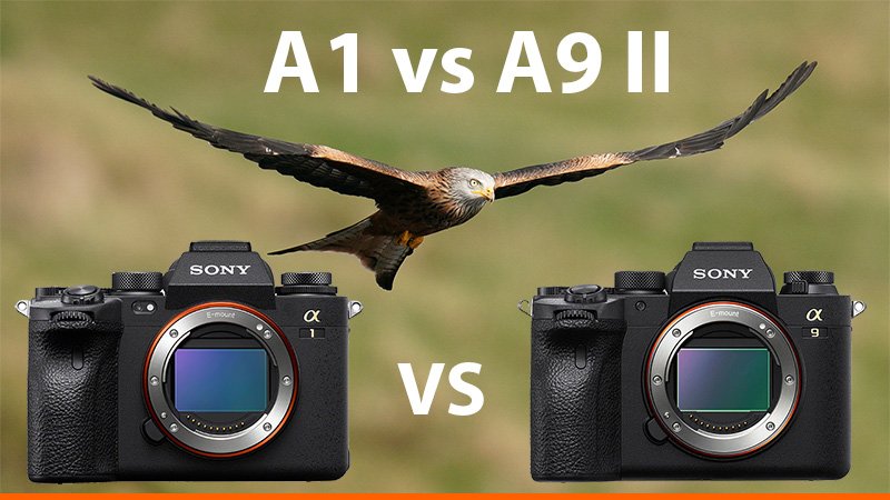 Sony a1 vs a9ii