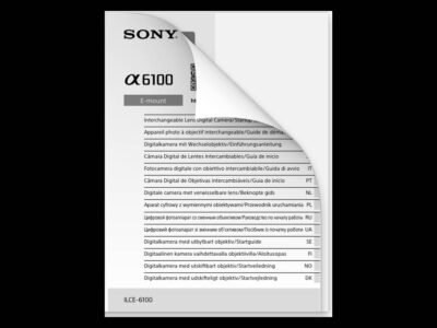 Sony a6100 Manual