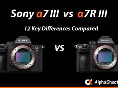 Sony a7III vs a7R III