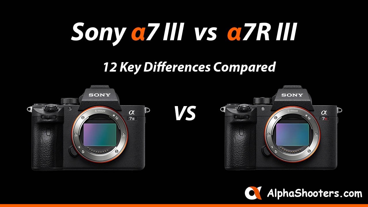 Sony III vs a7R III - 12 Key Compared - Alpha Shooters