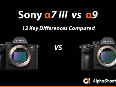 Sony a7III vs a9