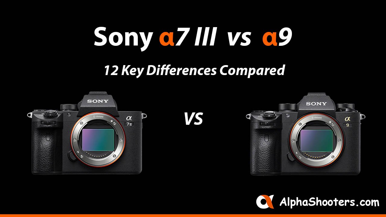 Sony a7III vs a9
