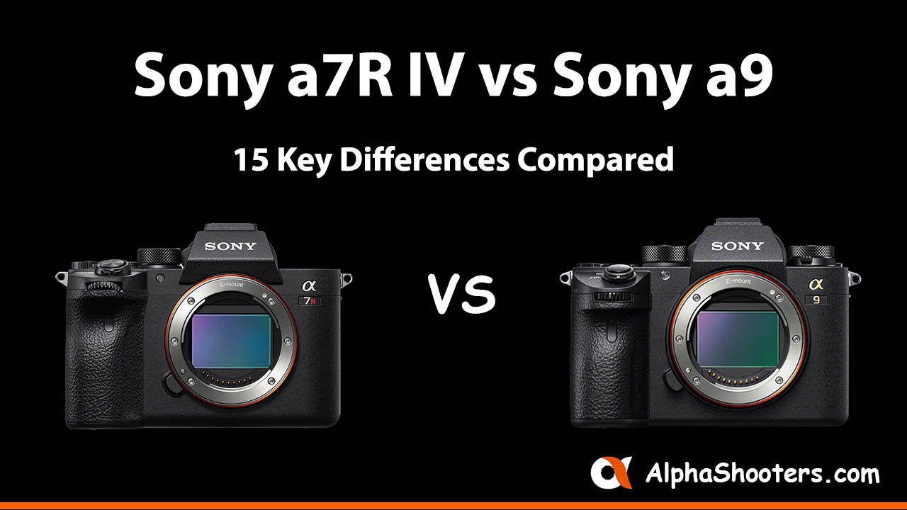 Sony a7R IV vs a9