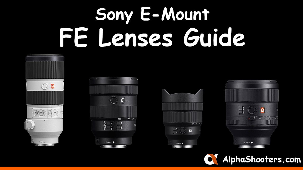 federatie Middag eten het doel Best Sony FE Lenses (Full-Frame) Guide - AlphaShooters.com