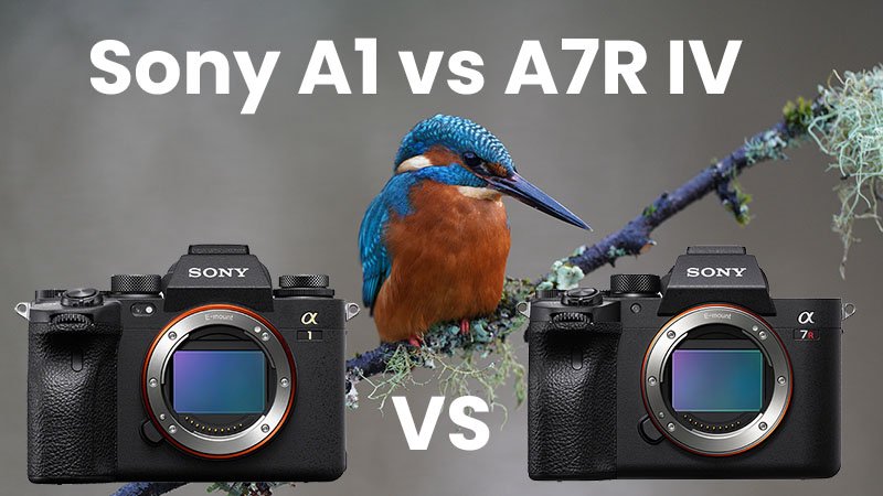 Sony A1 vs A7R IV