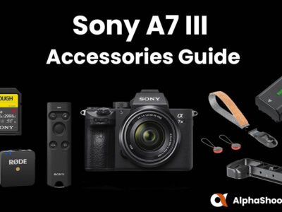 listen Recently princess Best Sony A7III Memory Cards With Speed & Buffer Tests