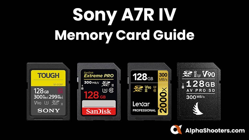 Sony a7R IV Memory Cards