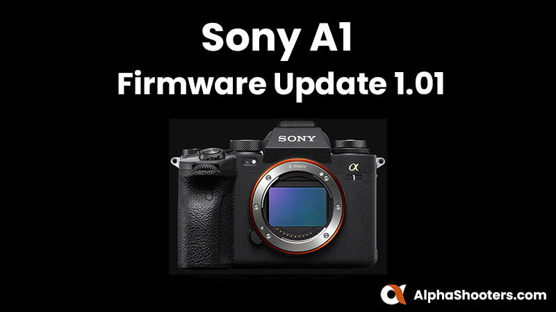 Sony A1 Firmware Update