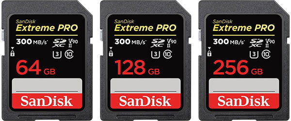 Sandisk extreme hot sale pro 300