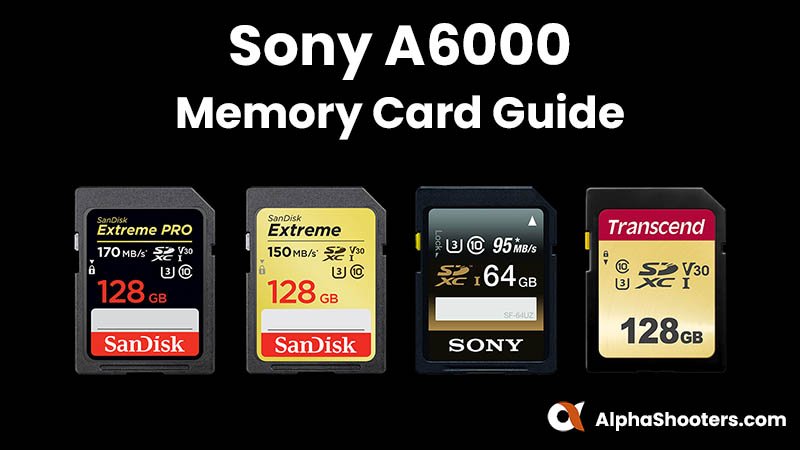 Sony 6000 Memory Cards