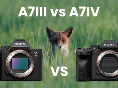 Sony A7 IV - Do You Need a CFexpress Card?