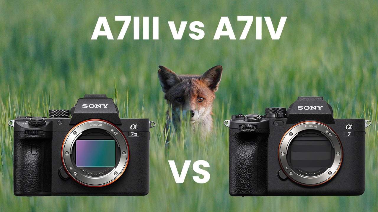Sony A7III vs A7IV