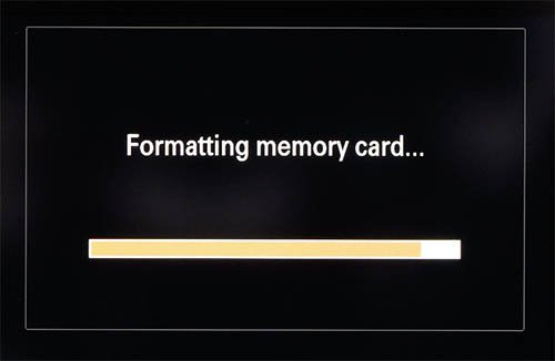Sony a7IV Formatting Card