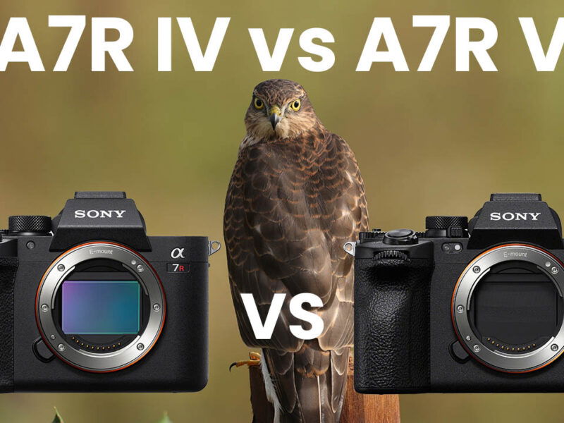 Sony A7CR Vs A7RV - Key Spec & Feature Comparison - Alpha Shooters