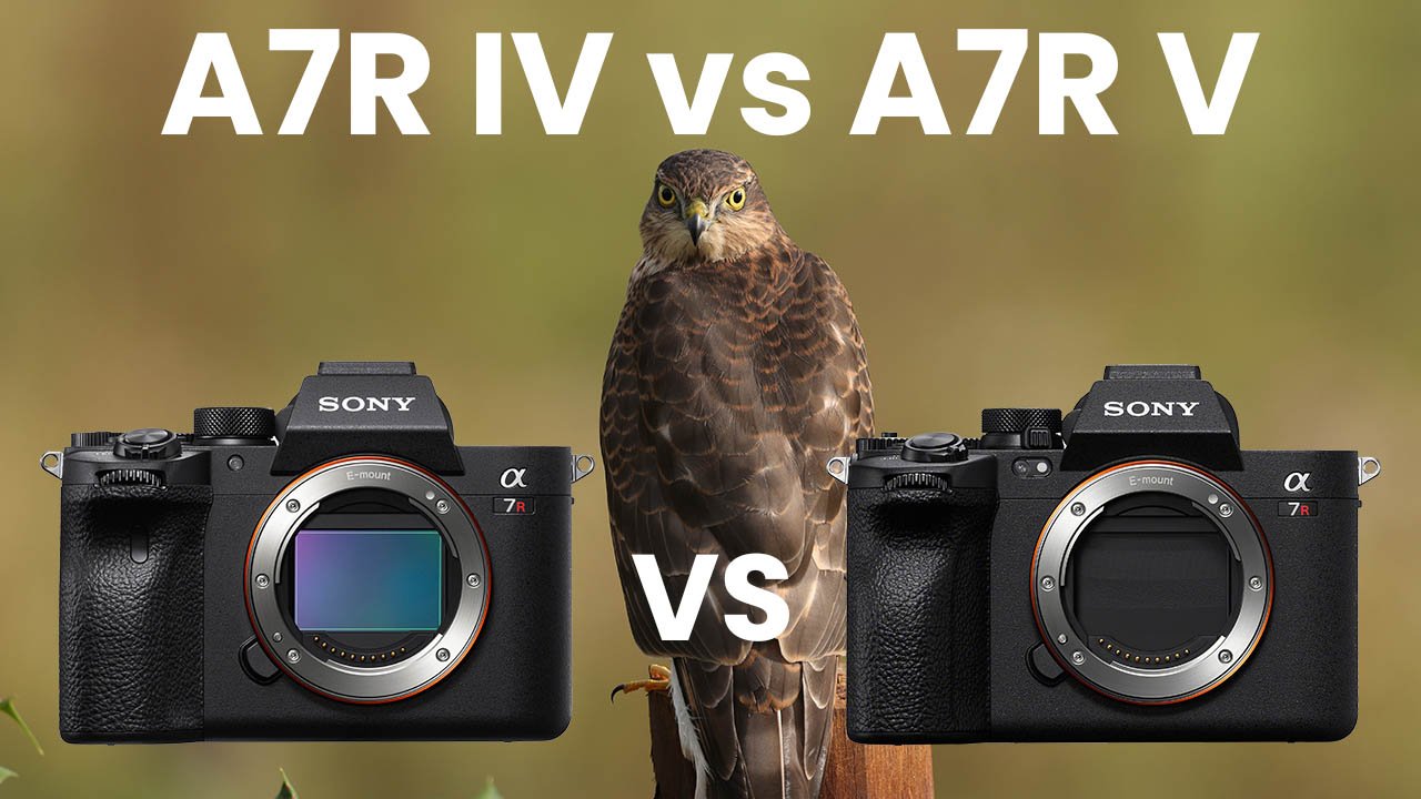 Sony A7R IV vs A7R V