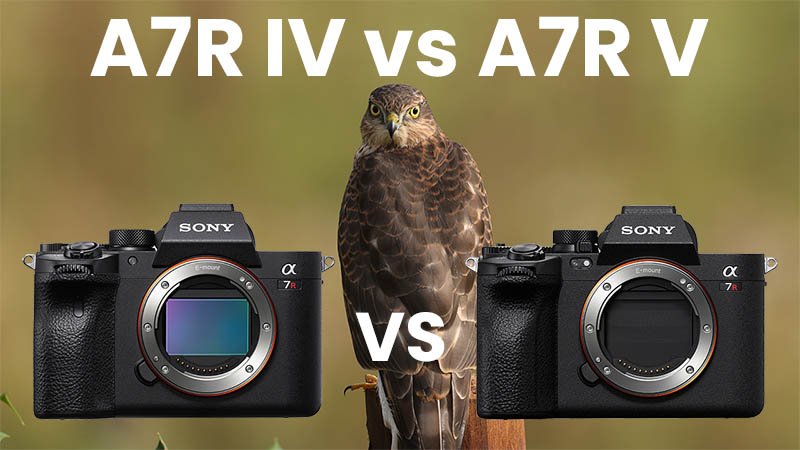 Sony A7 IV vs A7R IV (A7R IVA) - The 10 Main Differences and Full  Comparison - Mirrorless Comparison