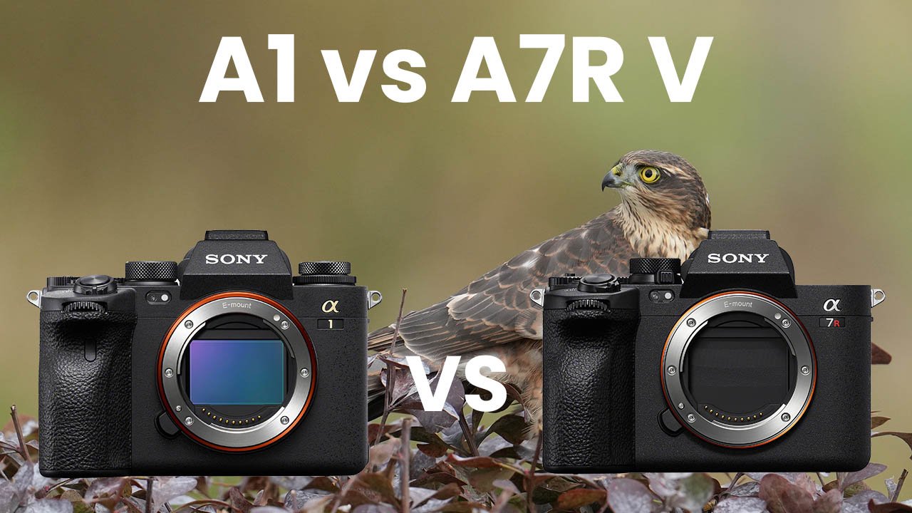 Sony A1 vs A7RV