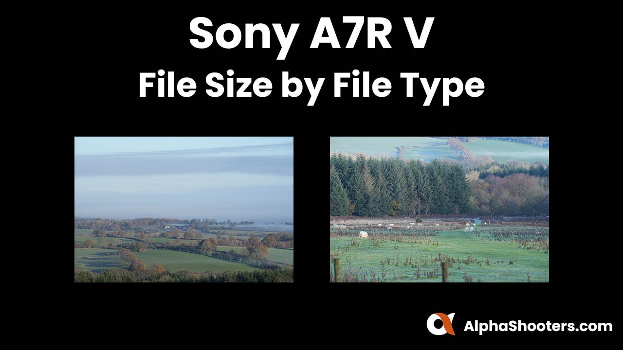 Sony A7R V File Size