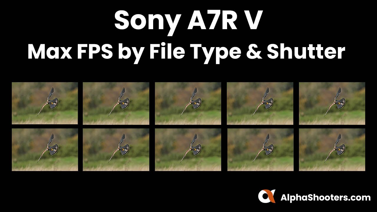 Sony a7RV FPS