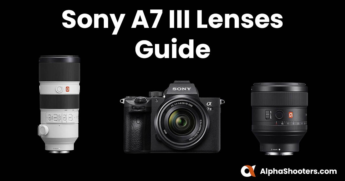 The Best for the Sony A7III 2023 - Shooters