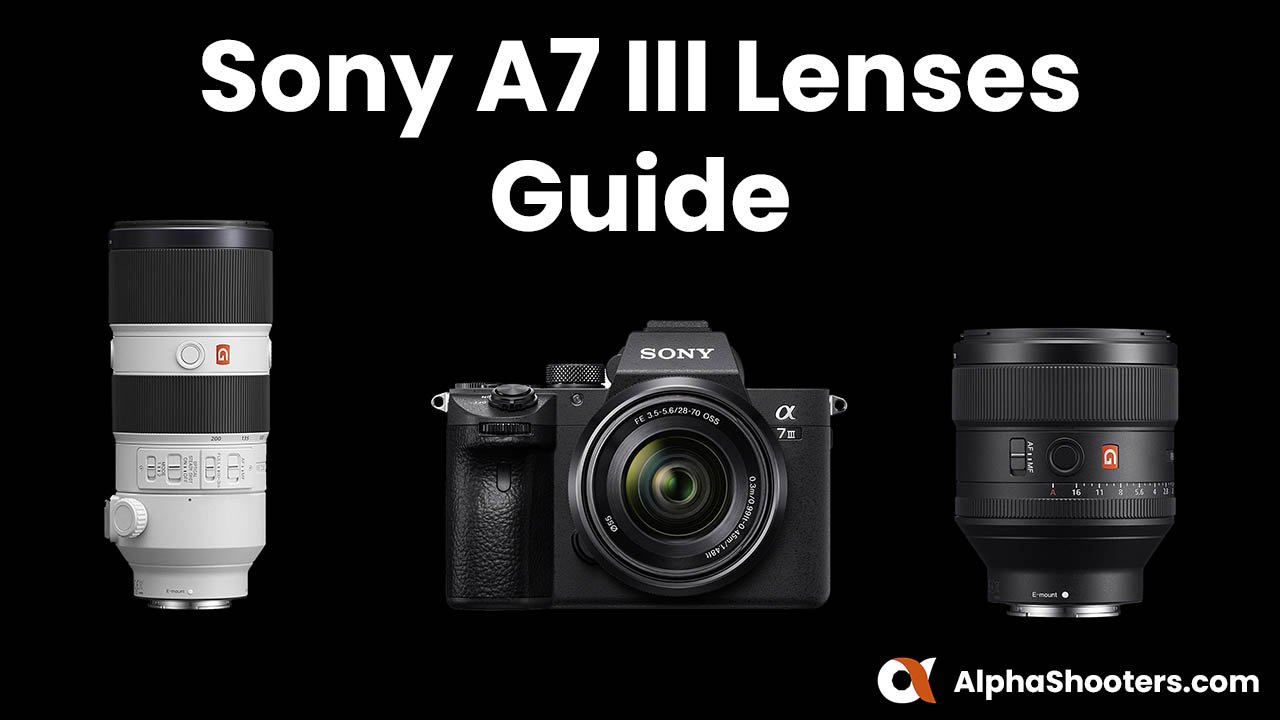 The Best Lenses for the Sony A7III in 2024 - Alpha Shooters